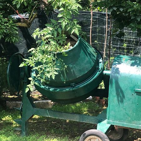 Borgo TicinoUn Bell Incontroアパートメント エクステリア 写真
